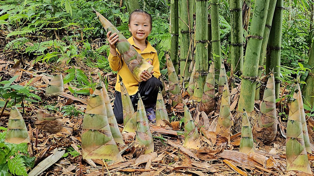 Harvesting bamboo shoots to sell while Mom is away - living alone on a farm | Tương Thị Mai