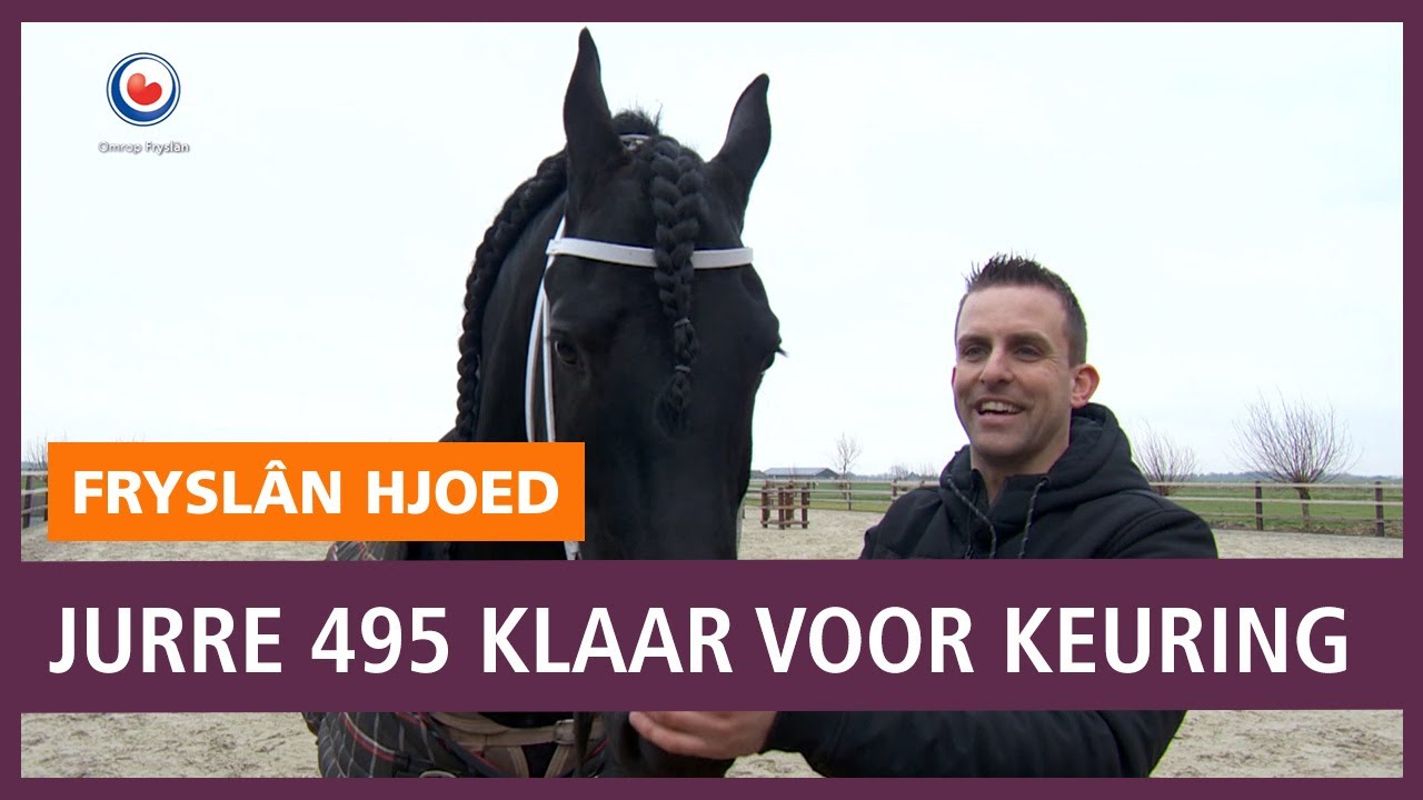 REPO: Wordt Jurre 495 voor de vierde keer kampioen op de Hengstenkeuring?