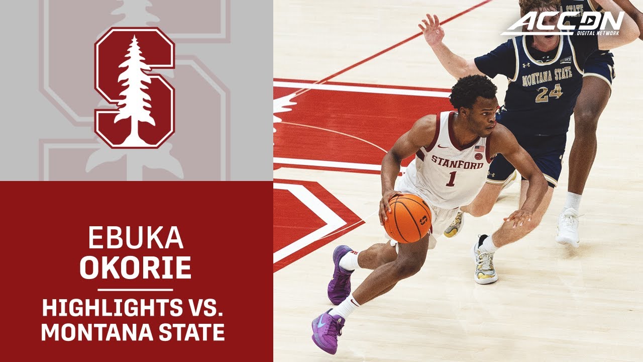 Stanford Guard Ebuka Okorie Highlights vs. Montana State