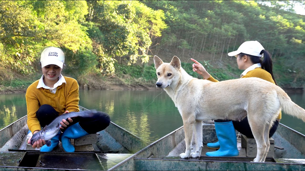 Traditional Fishing Techniques to Catch Giant Fish with Many Skills - The Joy of Fishing Days