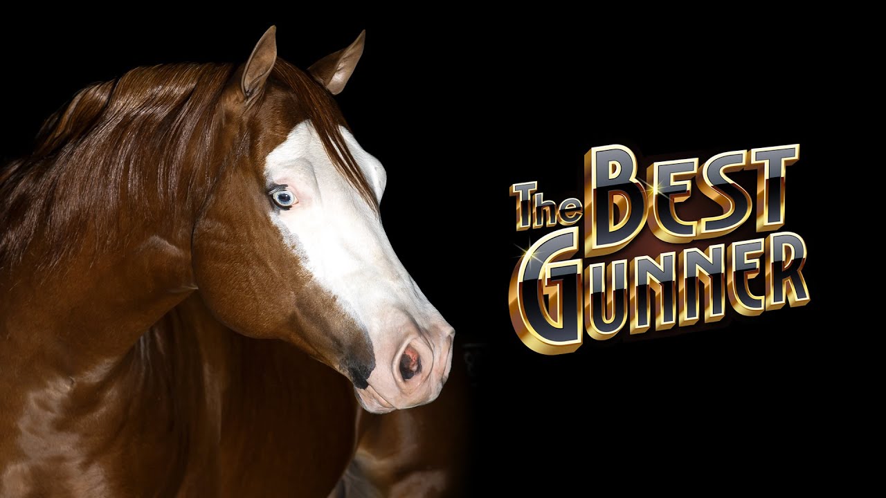 Garanhão THE BEST GUNNER
