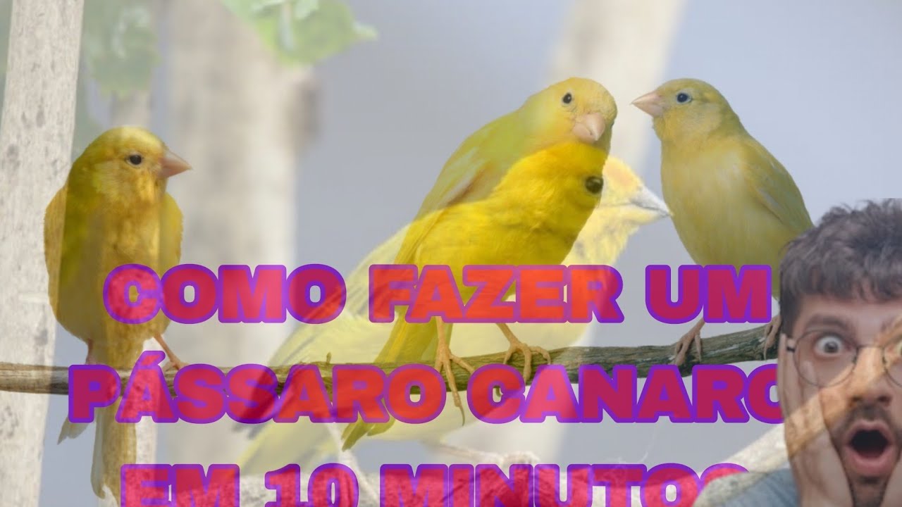 Como fazer um canarinho na madeira em 10 minutos aprenda comigo # #artes