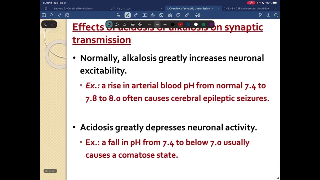 NS Physiology L2