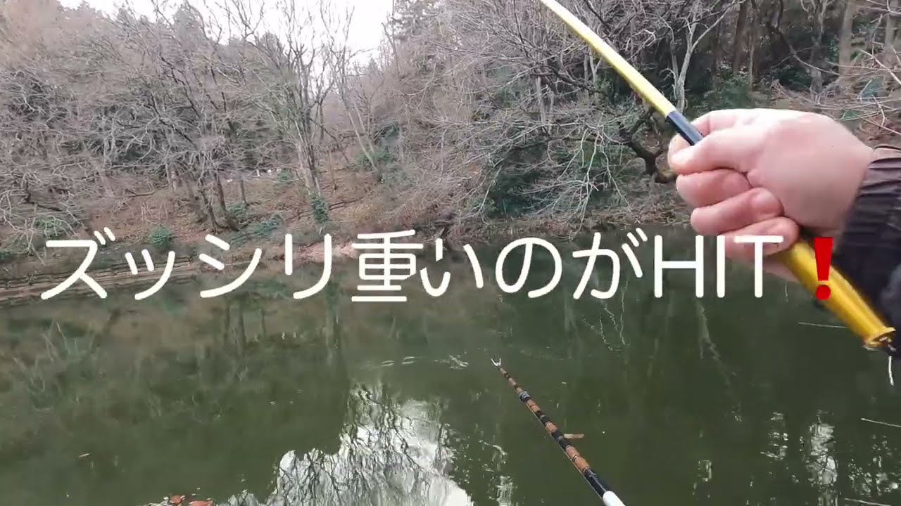 2026.3.6  O池