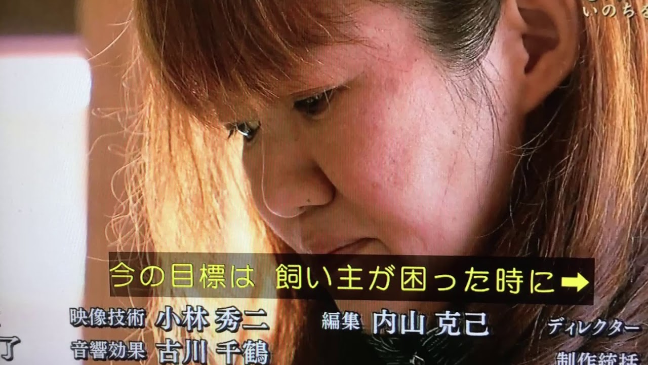 【犬猫保護施設ができるまで…】