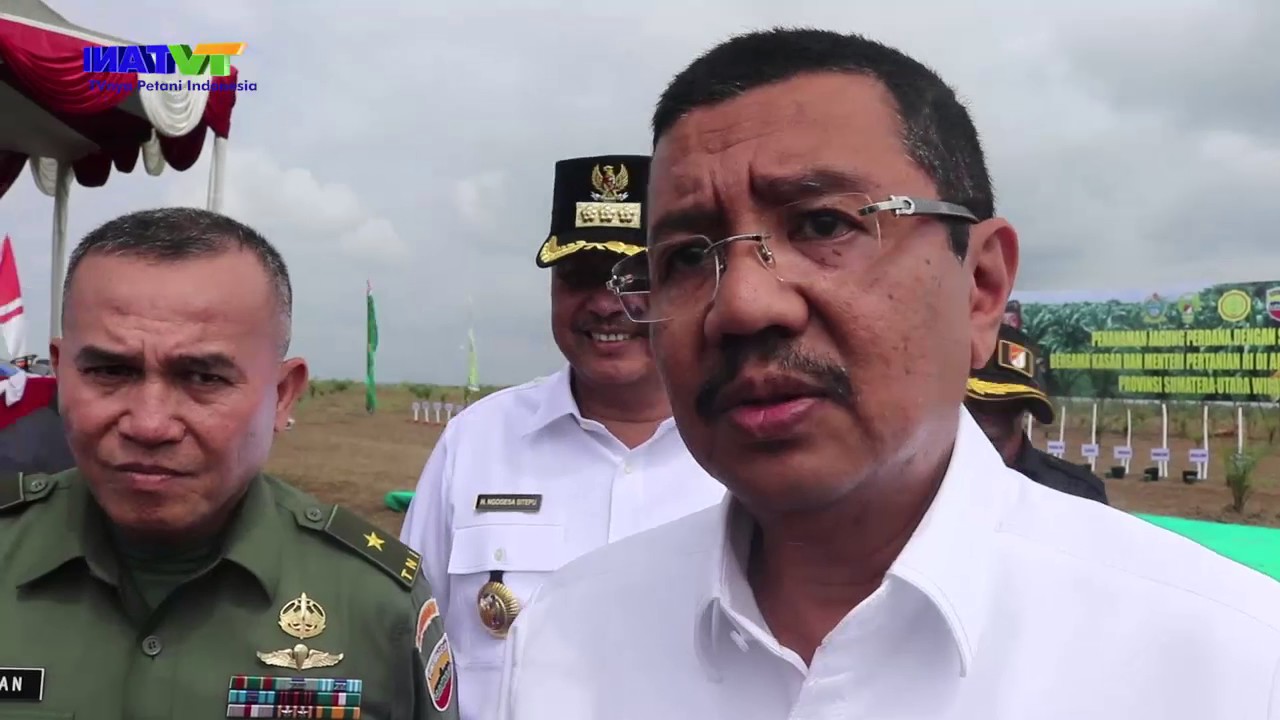 Kejar Swasembada Jagung, Kementan Manfaatkan Lahan PTPN II