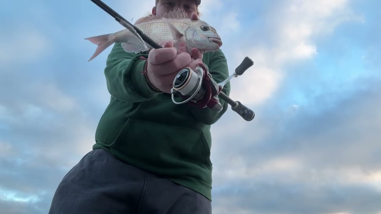 Fishing Geelong waterfront with soft plastics