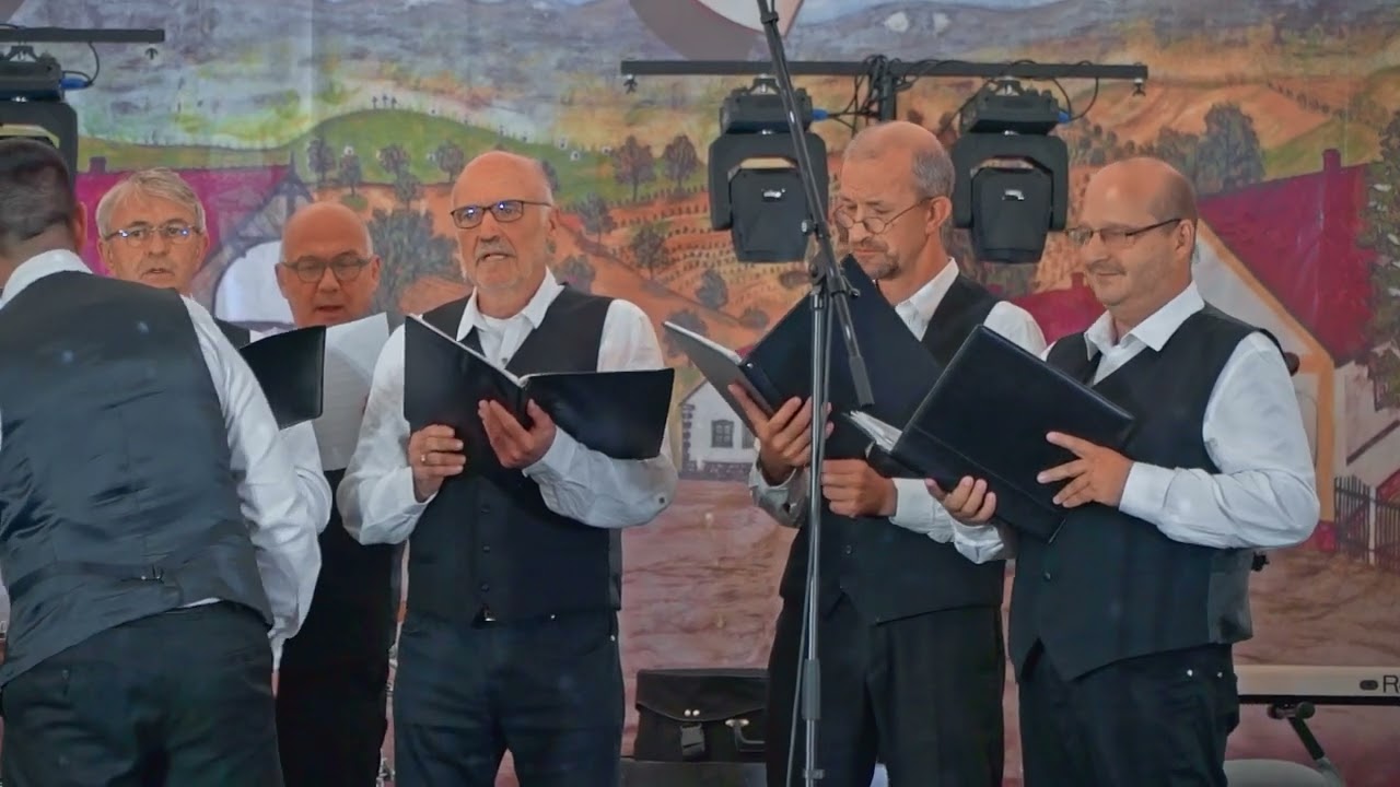 A Solymári Férfikórus koncertje a Schwabenfesten