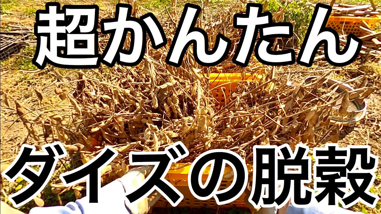ダイズの脱穀