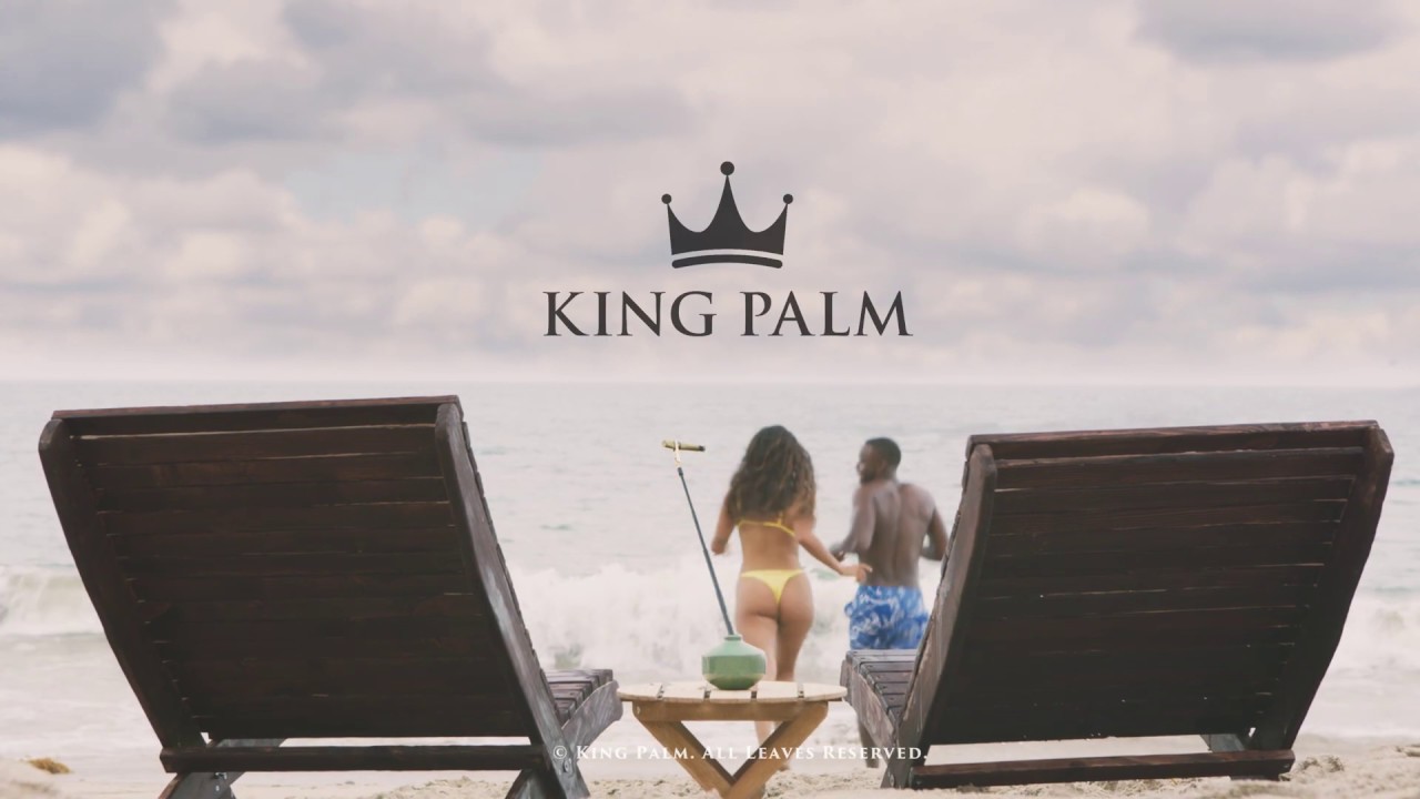 King Palm Beach Commercial 2019
