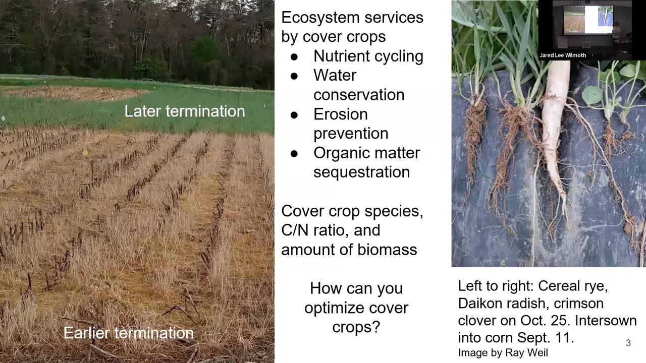 10-29-2025 Cassandrea Gabalis: Cover Crops Enhancement through Spring Management
