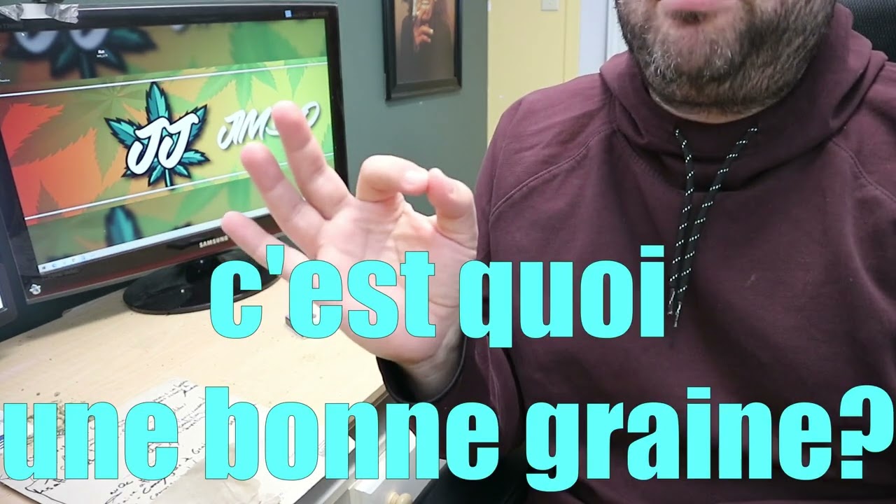 COMMENCER LA CULTURE DE CANNABIS?? COMMENT CHOISIR SES GRAINES !!