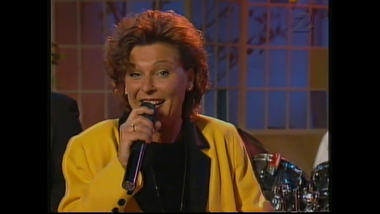 KAN MAN GIFTA SIG I JEANS   LOTTA ENGBERG   1995