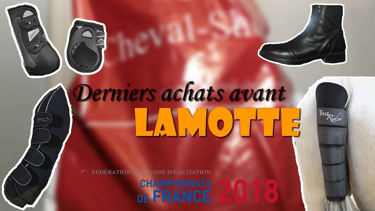 DERNIERS ACHATS AVANT LAMOTTE !