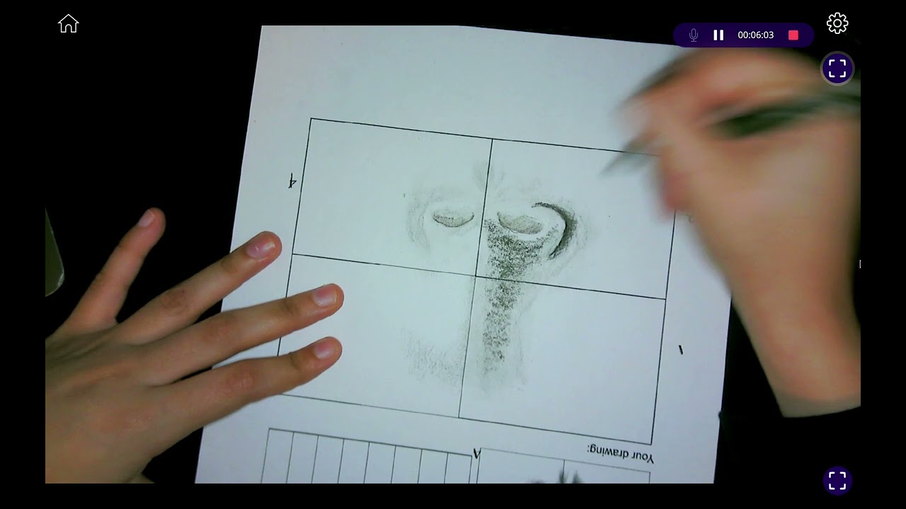 How to Draw: Nose (Practice 1)