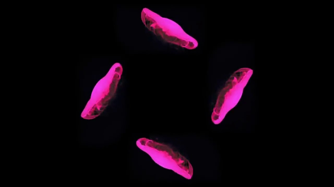 Şaşırtıcı 3D Hologram Videosu