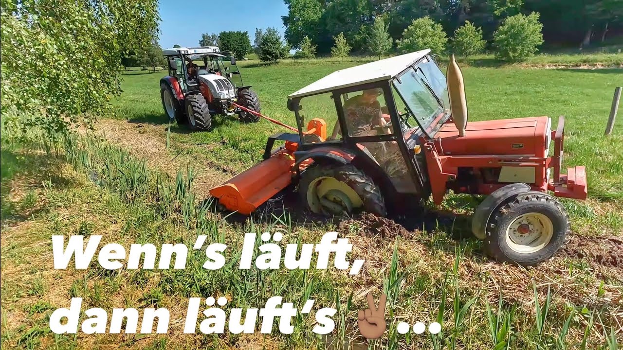 IHC Versenkt! | Rinder abgehauen | Baustelle herrichten