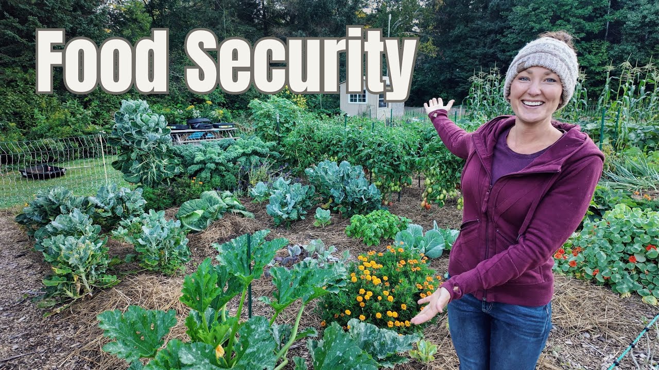 Living Off Our Land | FULL Garden Tour - August | Zone 4A Minnesota