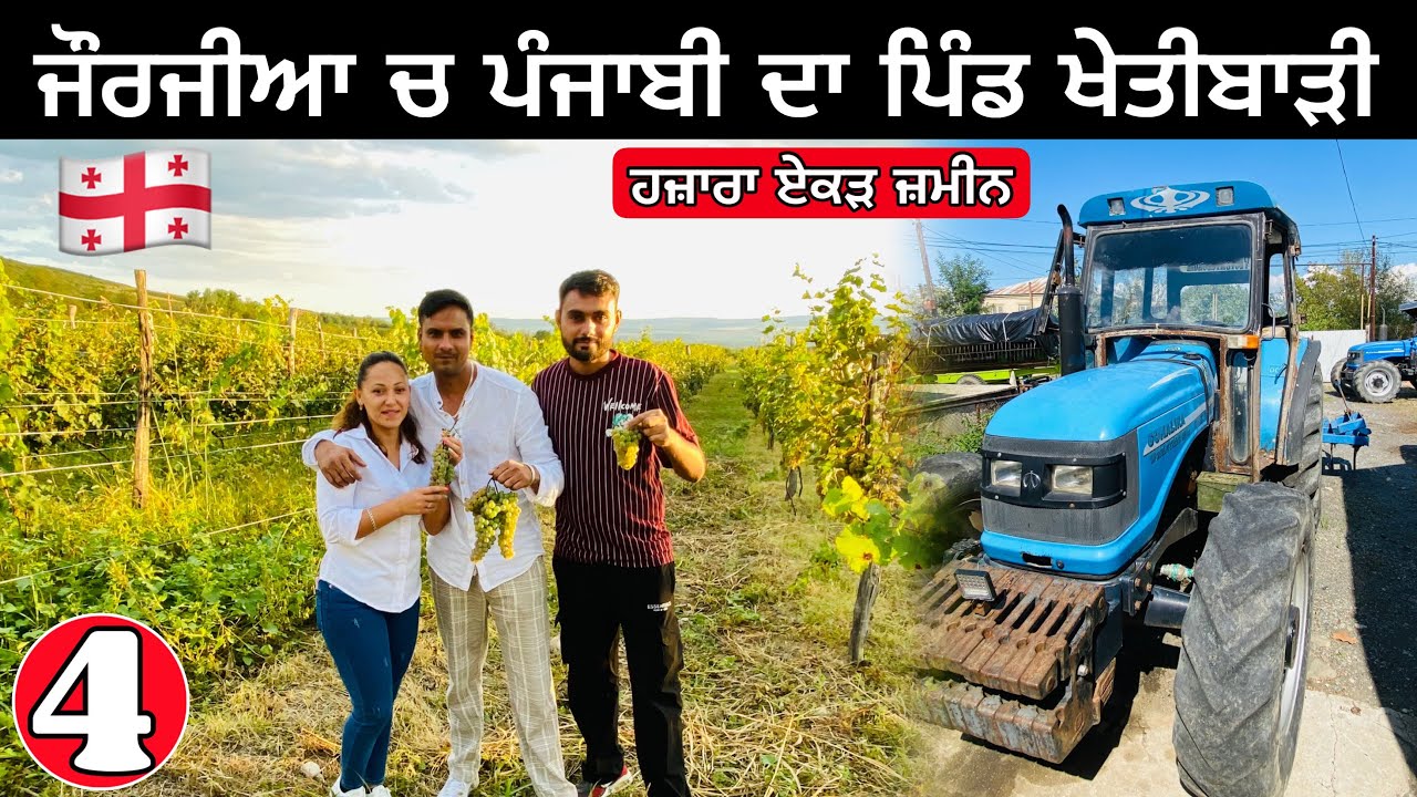 Village Life in Georgia🇬🇪 | ਜੌਰਜ਼ੀਆ ਚ ਪੰਜਾਬੀਆ ਦਾ ਪਿੰਡ