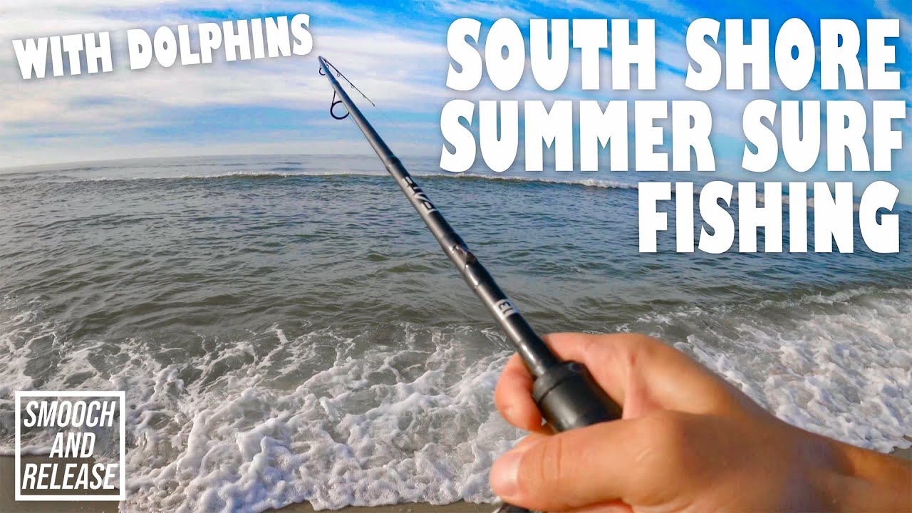 Live Bait Surf Fishing on Long Island's South Shore with DOLPHINS! - SUMMER