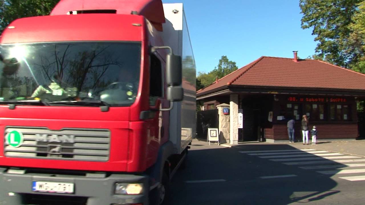 Tigriscápa érkezése Varsóból