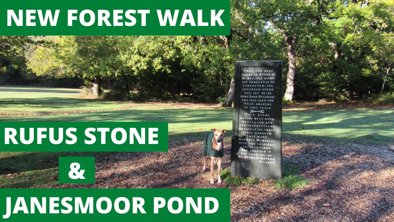 NEW FOREST WALK at RUFUS STONE & JANESMOOR POND (NEW FOREST NATIONAL PARK) (4K)