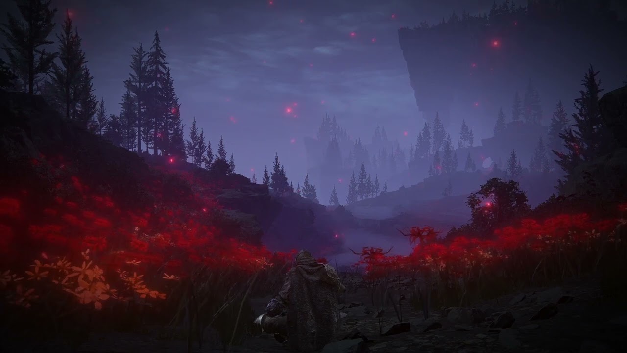 Charo's Hidden Grave | Elden Ring | Ambiance 1 hour | Study, Sleep, Focus