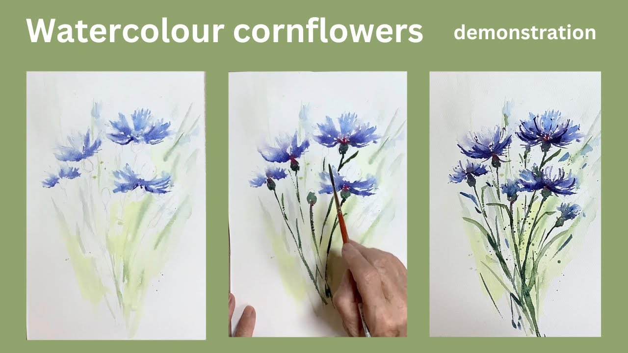 Watercolour cornflowers : painting demonstration