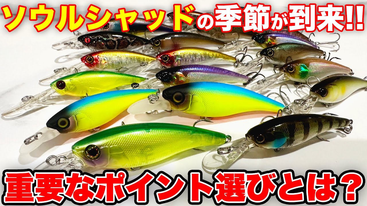 ソウルシャッドで釣るための重要なポイントとは？【ソウルフェス2025】