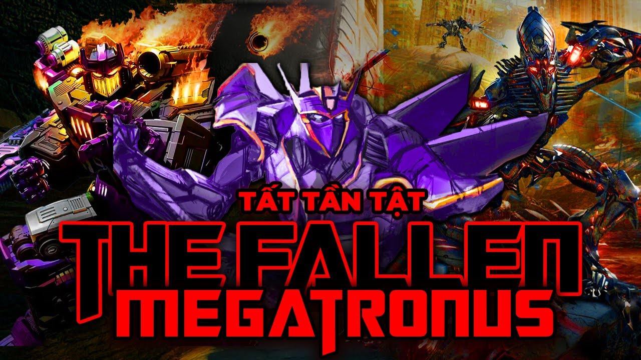 H&agrave;nh tr&igrave;nh THA H&Oacute;A của 