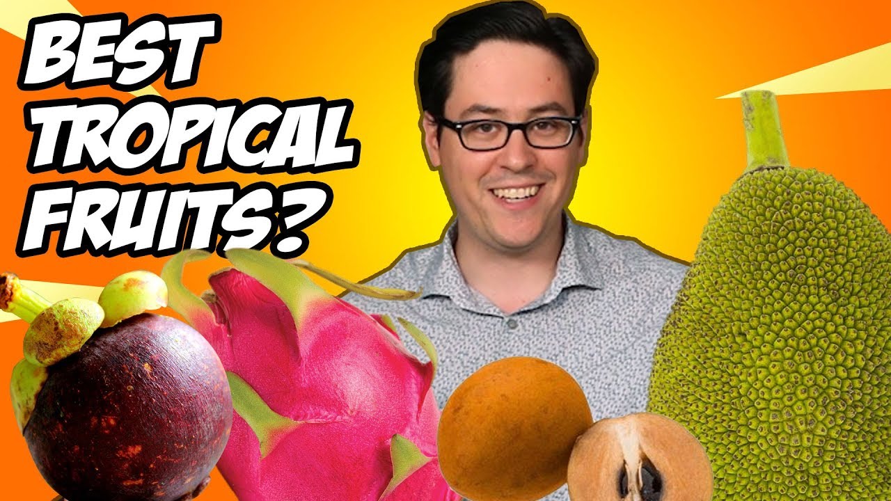 Taste Test & Ranking 4 Tropical Fruits, what's the best tropical fruit? | Hey Jay Eats!