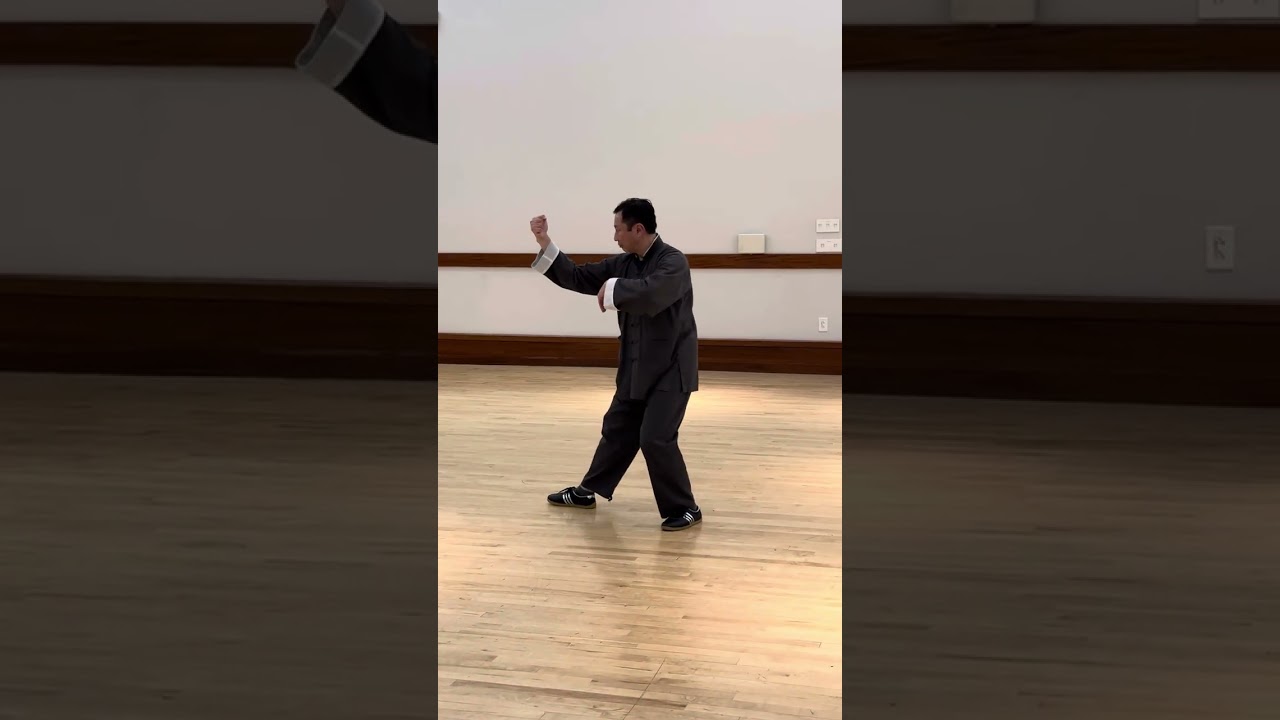 Tung Style Tai Chi - Slow Family Set