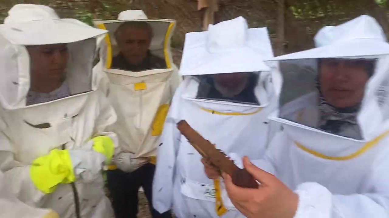 Honey extraction 🍯 and queen protection 👑 🐝 part 7