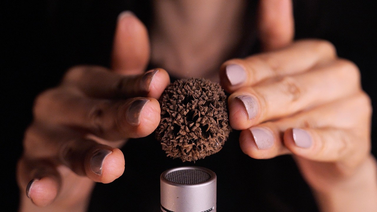 ASMR Unusual Triggers That Will Make You Tingle: Chinese Herbs (No Talking)