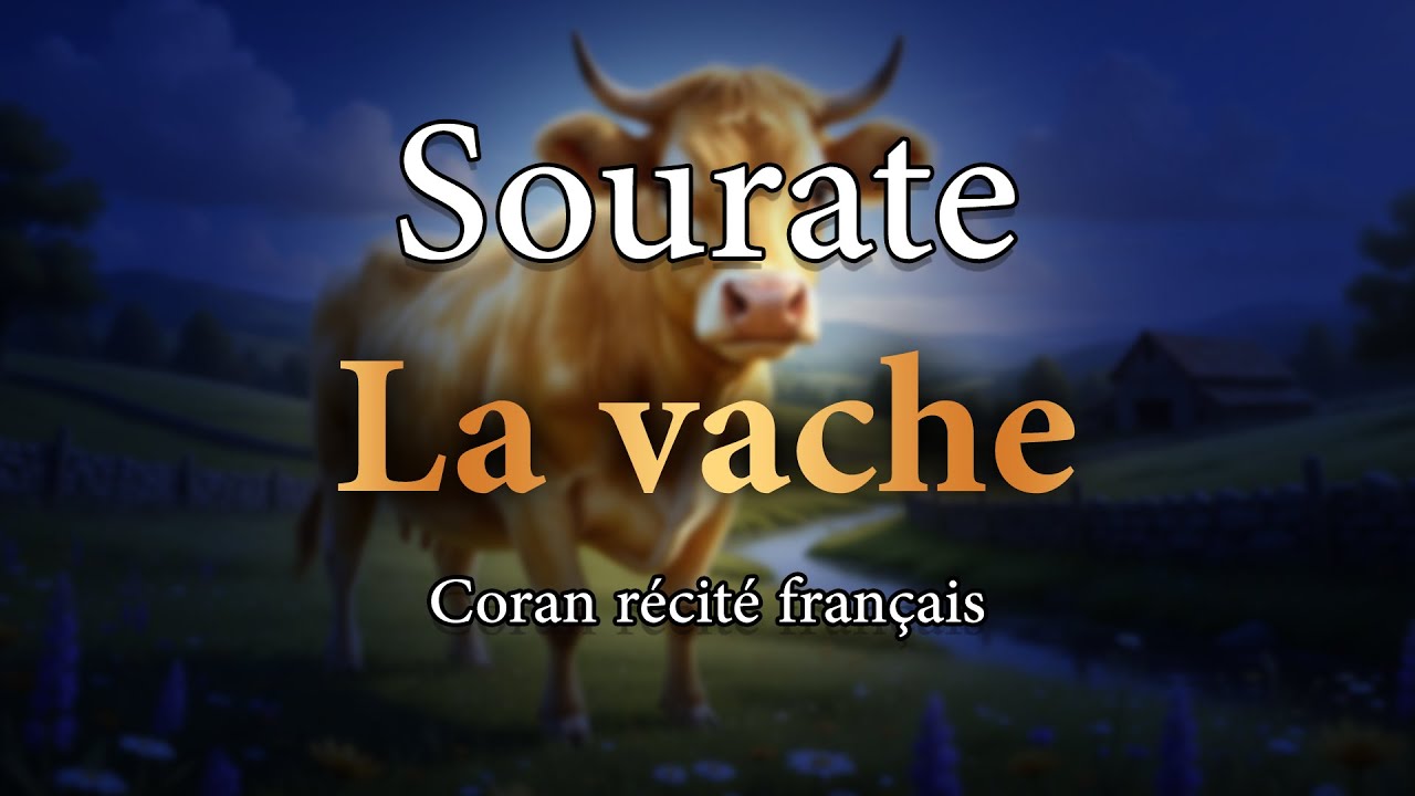 Écoute Sourate Al-Baqarah en Français | Protection, Sérénité & Baraka 🌙