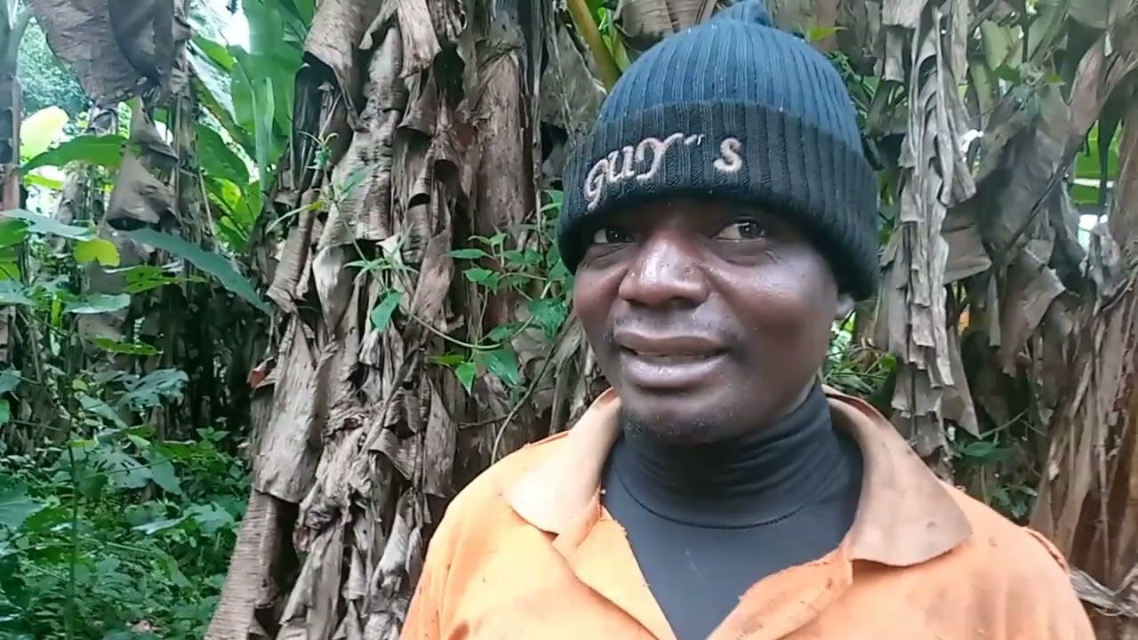 Plantain Multiplication using PIF Technique