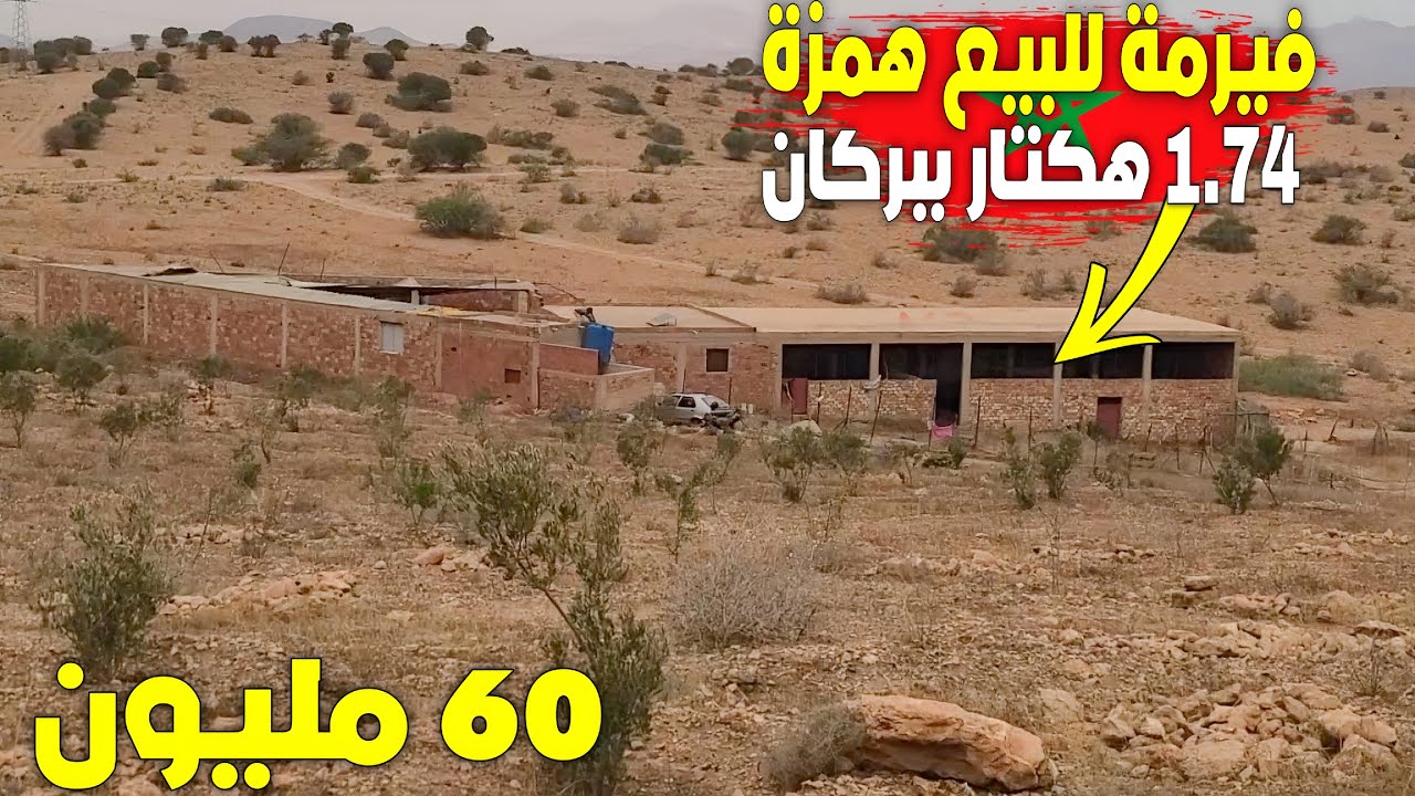 فيرمة للبيع فيها منزل وكوارا كبار لتربية المواشي بإقليم بركان 1.74 هكتار ب60 مليون قابل للتفاوض