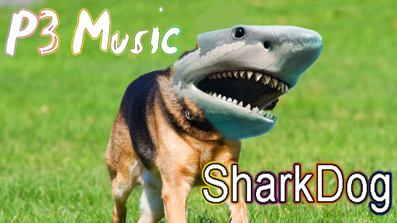 P3 Music - SharkDog
