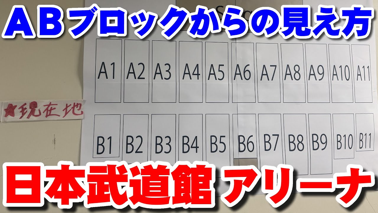 日本武道館アリーナ座席 ブロック分けがAとBだけで11ブロックまでしかない時の見え方動画