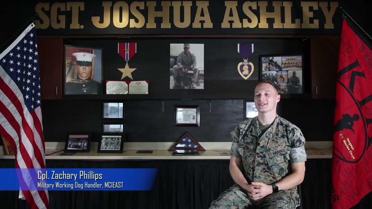 The Life of a Marine Working Dog Handler