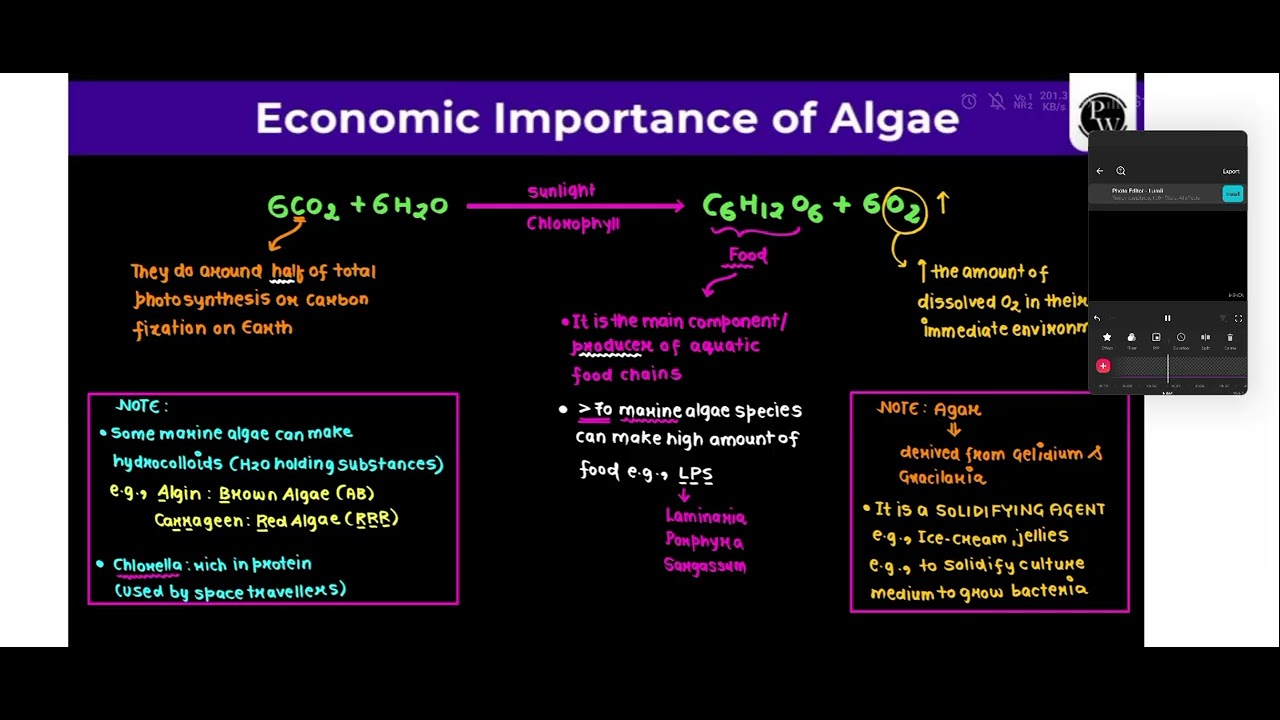 Plant Kingdom part 1