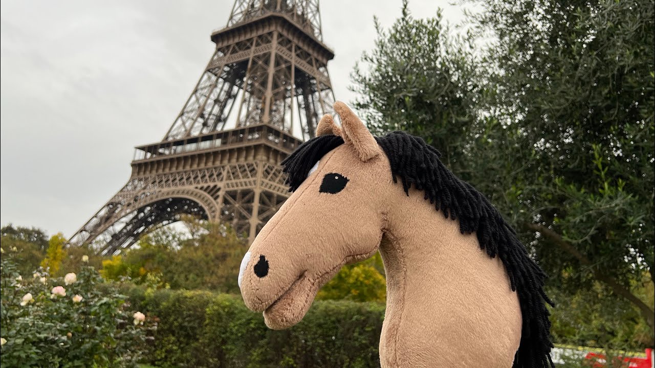 Mit Hobby Horse in Paris 😱💕am Eifelturm 🇫🇷