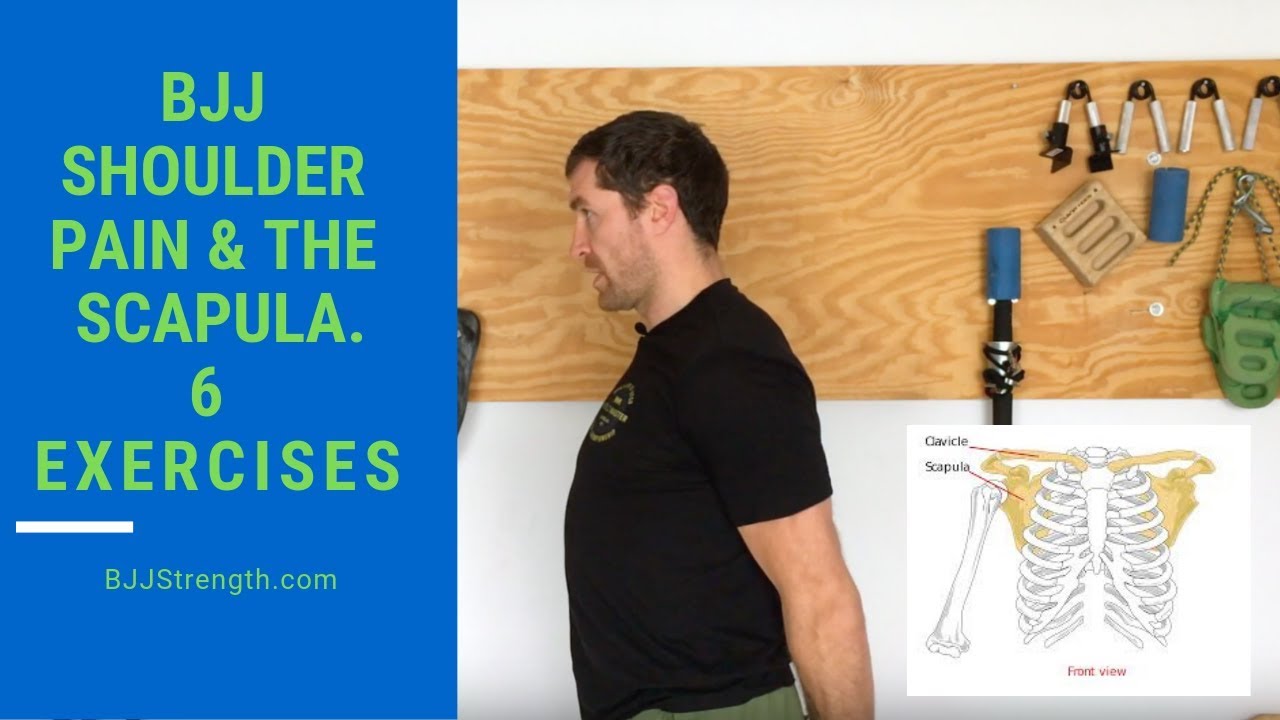 BJJ, the scapula & shoulder pain. 6 essential exercises!