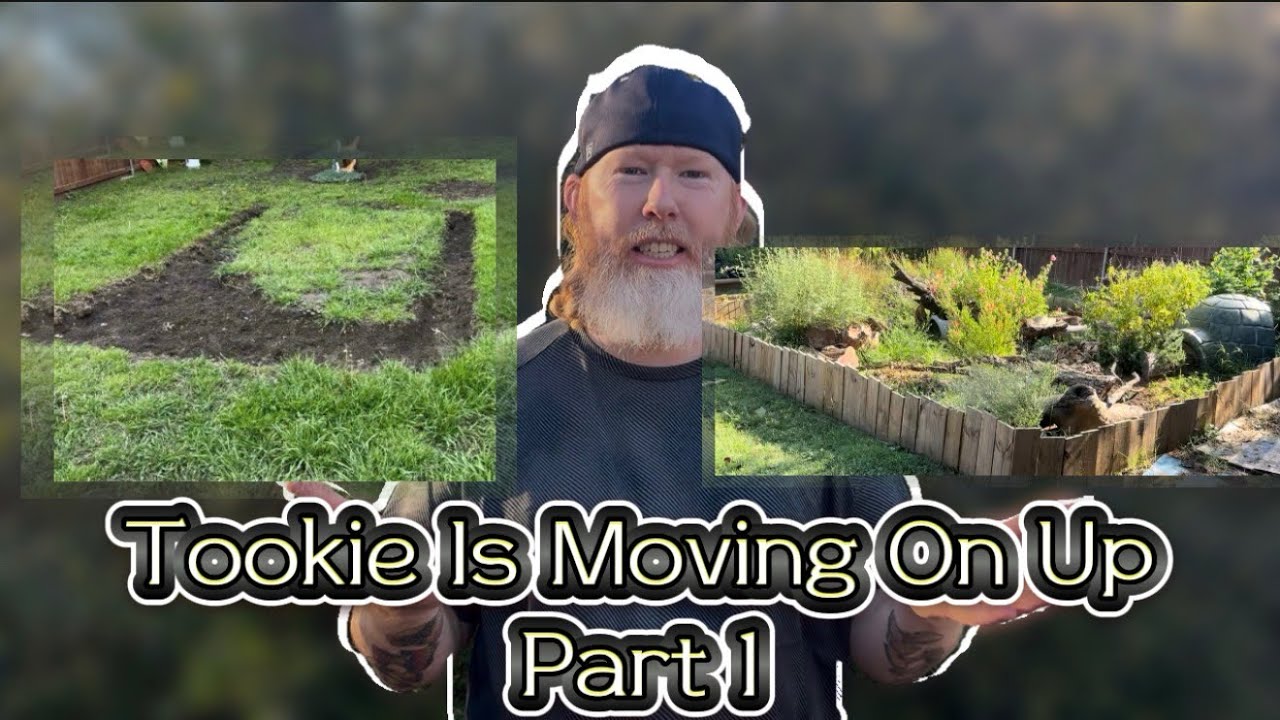 Tookie Is Moving On Up Part 1