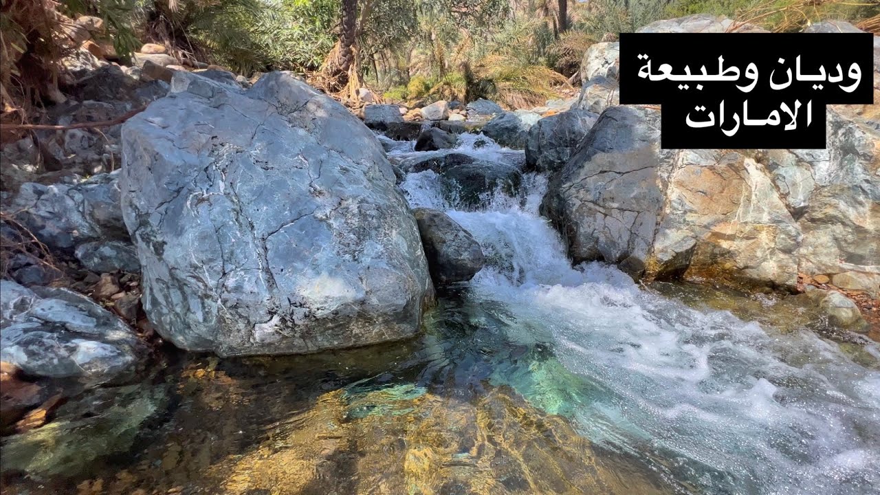 ( 202 ) استكشاف الوديان والشلالات بعد الامطار  بالامارات 4/2024