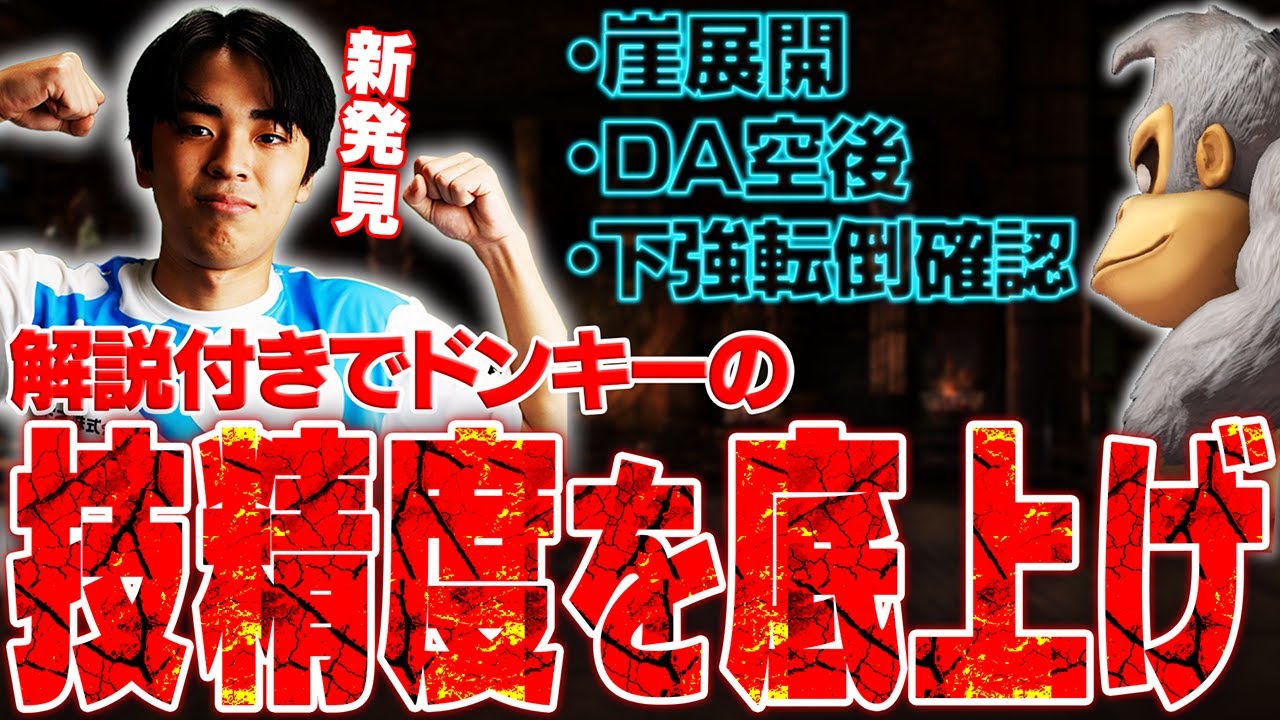 【有益情報】ドンキーでさらに高みを目指すために技精度をトレモで底上げしながら解説するマイルドなH.O【スマブラSP】