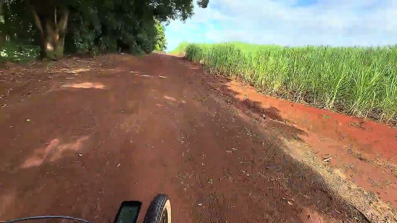 Bairro Bela Vista Cedro em Itambaracá Pr 