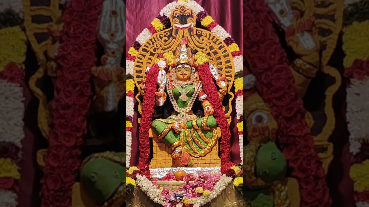 அருள்மிகு ஶ்ரீ தான் தோன்றியம்மன் திருவருள் அலங்காரம் கெட்டிசெவியூர் 
