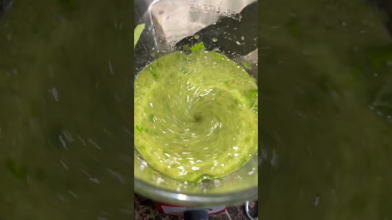 cuando cultivas tu propia ALBAHACA !! puedes hacer tu pesto !!  