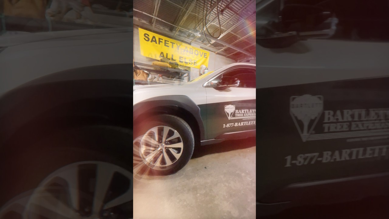 Completed Bartlett Tree Experts vehicle graphics 🌳